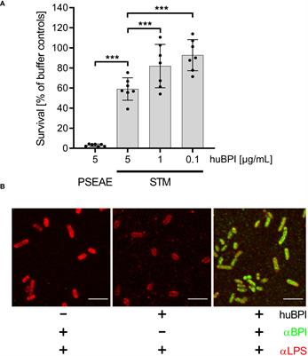 Subversion of a family of antimicrobial proteins by Salmonella enterica